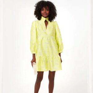 Tuckernuck Citron Fil Coupe Palmerston dress